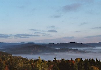 Wandern im bunten Herbstwald